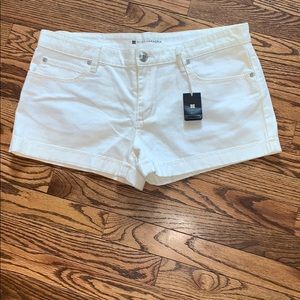 BCBGMAXAZRIA Shorts (New)